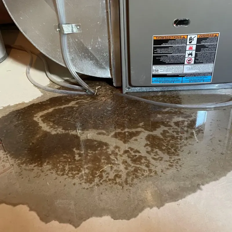 Pipe Burst and Leak Restoration in Orange County, NY